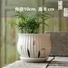 Vaso de flor de suculenta em cerâmica com prato, oferta especial, diâmetro grande, tamanho grande, vaso criativo para suculentas de casa