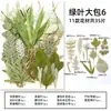 Espécimes de Plantas com Folhas Reais de Outono, Adesivos Artesanais, Flores Secas, Flores Prensadas, Pinturas Decorativas de Folhas DIY, Marcadores de Página de Plantas