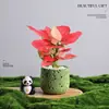Árbol del Dinero Planta en Maceta Decoración Creativa de Planta para Escritorio Flor y Planta Verde para Oficina Adorno Hiedra Coco Rico Verde Bonsái Pequeño
