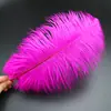 30-35cm Plumas de Avestruz Lámpara de Plumas Arreglo Floral de Plumas de Avestruz Plumas de Boda