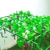 Estante para uvas, enredaderas trepadoras, soporte para flores, pepinos, luffa, rosas, plantas trepadoras, para patio al aire libre