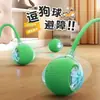 Brinquedo para pet com bola de barbante, bolinha para provocar gatos, ferramenta de autoentretenimento para cães e gatos, brinquedo para pet, suprimentos para pet, brinquedo para gato