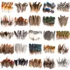 80 Tipos de Penas Naturais de Faisão, Penas Reais, Decorações Nativas Americanas, Acessórios DIY, Acessórios de Cabelo, Peças para Brinquedo de Vara para Gato