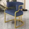Silla Sofá de Lujo Sencillo para el Hogar Silla de Ocio para Apartamento Pequeño Sala de Estar Sofá Individual Tocador de Dormitorio Silla de Maquillaje