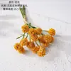 Ailala Ouriço Fruta Mão Nota Simulação Flor Fabricante Flor Artificial Plantas Verdes Atacado Decoração de Casamento Artesanato Estilo INS