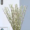 Flores Secas de Sauce Plateado Atractoras de Fortuna, Flores Reales, Ramas Frescas, Plantas Hidropónicas, Sauce Plateado Rojo, Flores de Año Nuevo, Cubo de Fortuna, Decoración Interior para Sala de Estar