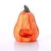 Casa de escape de calabaza Acuario creativo Decoración de paisaje para pecera Adornos Calabaza de Halloween Casa para peces y camarones Venta al por mayor