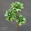 Flor de Simulación Verde Decoración Auditorio de Bodas Material de Flores para Bodas Flor Exterior Planta Verde Belleza Chen Arreglo Sanwei Kwai Mori Ceremonial de Bodas