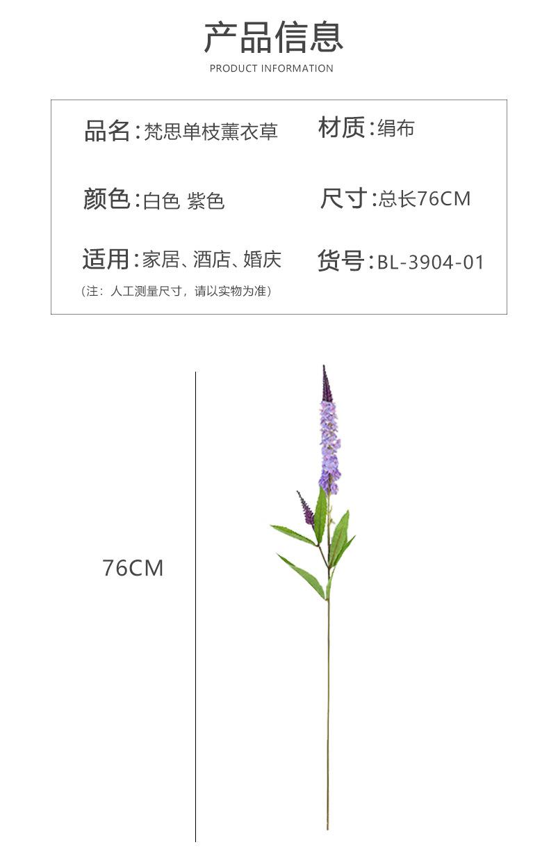 梵思单枝薰衣草_05.jpg