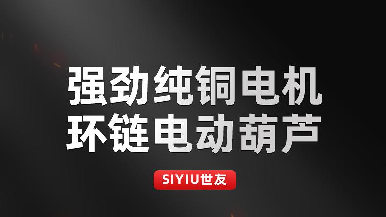 DHS环链电动葫芦详情 (1).jpg