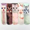 Calcetines de expresión emoji cara sonriente comercio exterior gato solo estampado animal calcetines de impresión digital 3D de doble cara calcetines de tubo AliExpress