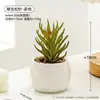 Escritorio de Oficina Suculentas Artificiales Plantas Verdes Interiores Maceta Pequeños Adornos Cerámicos Estilo Ins Plantas Artificiales Flor Artificial Bonsái
