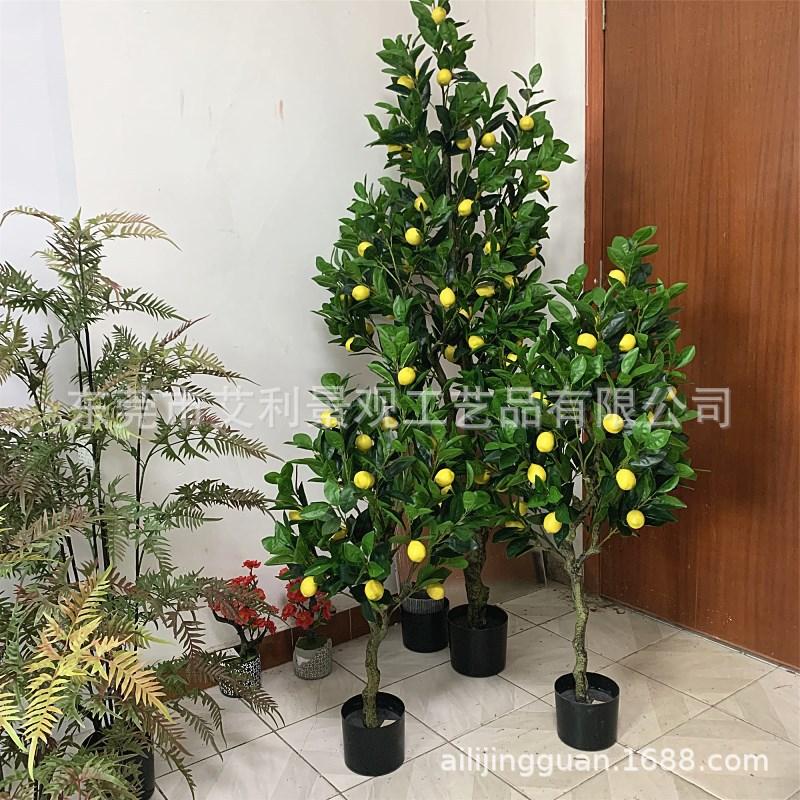 9c7ab6f9a174779ca09f4f84ae67c1