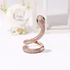 [N01] Joyería de Comercio Exterior Coreana Dongdaemun Cobre Fino Microincrustado con Diamante Ojos Verdes Serpiente Delgada Anillo Doble Anillo Abierto