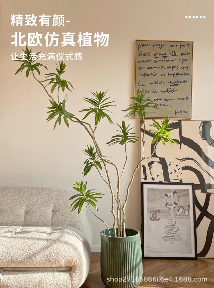 详情_01.jpg