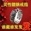 Anillo Pixiu de la Fortuna S925 Plata Tailandesa Ajustable Personalidad Vintage Anillo de Mantra para Hombres