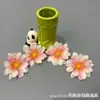 Flor de Peonía Llama Pintura al Óleo Simulada Flor de Muñeca Pasador Flor Caja de Regalo Hecha a Mano con Flores Ropa Gorro de Graduación con Flores