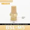 Válvula Solenoide Neumática Torre de Aceleración de Cobre Silenciador Bsl-01 Pulgada 2/3/4 Puntos Besl Conector Silenciador Silencioso