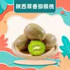 Kiwi Shaanxi Cuixiang - Entrega de 15/16/18/20/24/30 unidades de kiwi de polpa verde, fruta fresca agridoce