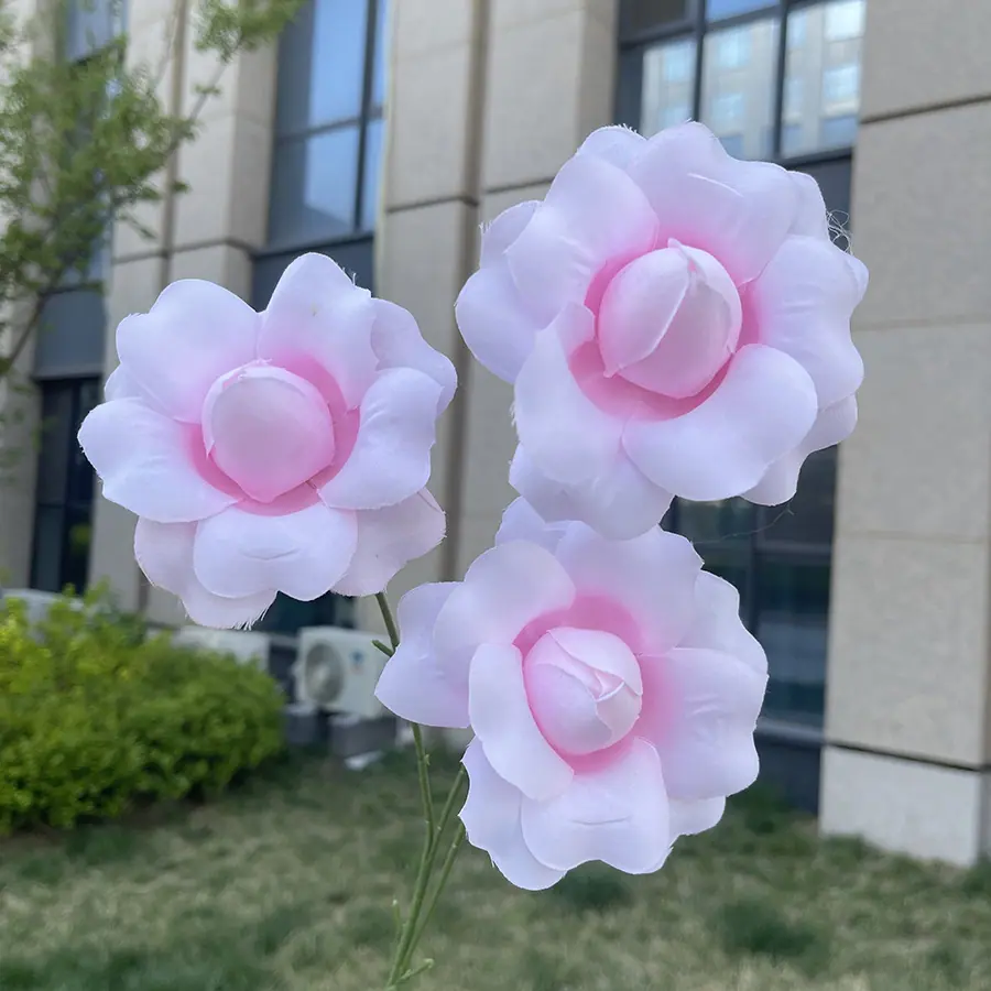 3头翻瓣仙子色玫瑰-浅粉.JPG