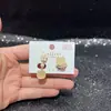 Brincos e Correntes de Orelha Geométricos para Mulheres, Moda de Luxo de Nicho, Versátil, Galvanoplastia Ecológica, Atacado de Acessórios Yiwu, Não Precisa de Piercing