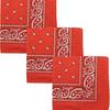 Pañuelo Cuadrado Flor de Anacardo Cinta para la Cabeza Hip-Hop Pantalones de Calle Unisex Pañuelo para la Cintura Pañuelo para la Cabeza Hip-Hop Pañuelo Retro Pañuelo para el Cuello
