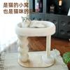 Marco de escalada para gatos, Cama para gatos, Rascador de sisal integrado para gatos, Árbol para gatos resistente a los arañazos y que no suelta pelo, Juguete para gatos para entretener a los gatos