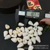 Cuentas Premium de Hueso de Camello sin Marcas Visibles, Etiqueta Incrustada, Conector de Tres Vías, Accesorio Versátil para Pulseras DIY, Cuenta Espaciadora, Colgante de Cuerda Trenzada, Accesorio Creativo