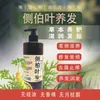 Shampoo Concentrado de Folha de Platycladus Shouwu Saponina Feito com Plantas Nutrição Capilar Gengibre Anticaspa Controle de Oleosidade Antialérgico Shampoo