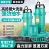 Bomba Sumergible Qdx Bomba de Agua Limpia para Hogar Alto Levantamiento 220V Bomba de Agua para Riego Agrícola Flujo Grande Bomba de Agua para Pozos Pequeños