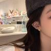Aretes de Metal Retro de Otoño e Invierno Ins Estilo Frío Lujo Accesible Aretes Versátiles Aretes de Mujer
