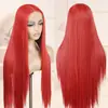 Perucas Europeias e Americanas Transfronteiriças para Mulheres, Cabelo Longo Liso com Partição Central, Touca de Fibra Química, Peruca Frontal com Renda