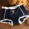 Calzoncillos tipo bóxer de algodón antibacteriano para niñas de talla grande, estilo británico, estampado de osos, tiro largo extendido, talla grande