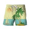 Pantalones Cortos de Playa Estilo Hawaiano para Hombre, Estampado Digital 3D, Europeos y Americanos, Transfronterizos, para Verano 2024, Juventud, Viajes
