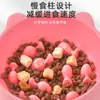 Fábrica mayorista transfronteriza comedero para gatos anti-atragantamiento comedero de alimentación lenta comedero para gatos y perros cuenco para gatos de alimentación lenta suministros para mascotas anti-atragantamiento
