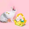 Dd114 Conejito de Pascua de Amazon Huevo Gallina Colorido con Forma 3D Canasta de Mano Caja de Regalo para Fiesta