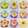Ventas Directas de Fábrica 4/5/6/7/8/9/11cm Tocado de Frangipani Traje de Baño Flor para el Cabello de Viaje Material para Accesorios de Cabello DIY