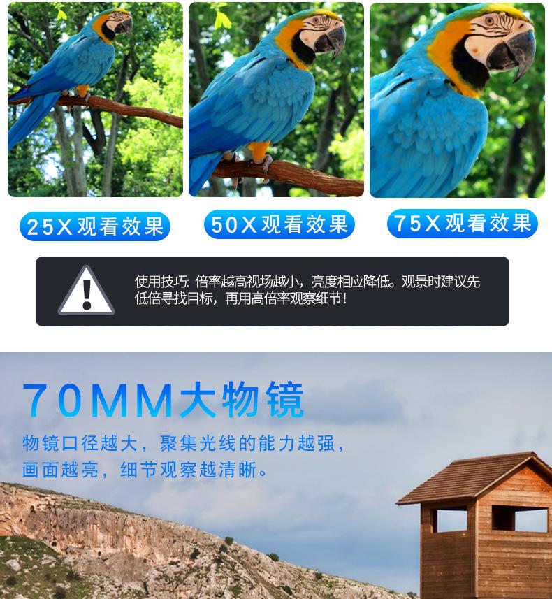 观鸟镜_06.jpg