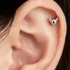 Brincos de Stud Liga de Titânio G23 Chifre de Diabo 0.9 Rosca Externa Stud de Lábio Stud de Osso da Orelha Cabeça de Touro Acessórios de Joia para Piercing Cabeça