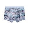 Ropa interior de seda de hielo para hombre, divertida, de verano, personalizada, con estampado de tendencia, antibacteriana, con entrepierna, ligera, transpirable, para jóvenes, venta al por mayor