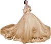 AliExpress Amazon Lace Decal Open Shoulder Adulto Cerimônia Tutu Vestido Vestido De Baile Vestido De Princesa Vestido Feminino