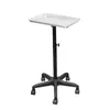 Carrinho Retrátil para Cabeleireiro Transfronteiriço Carrinho de Metal para Barbearia Carrinho Ferramenta para Armazenamento e Organização de Salão de Cabeleireiro com Altura Ajustável