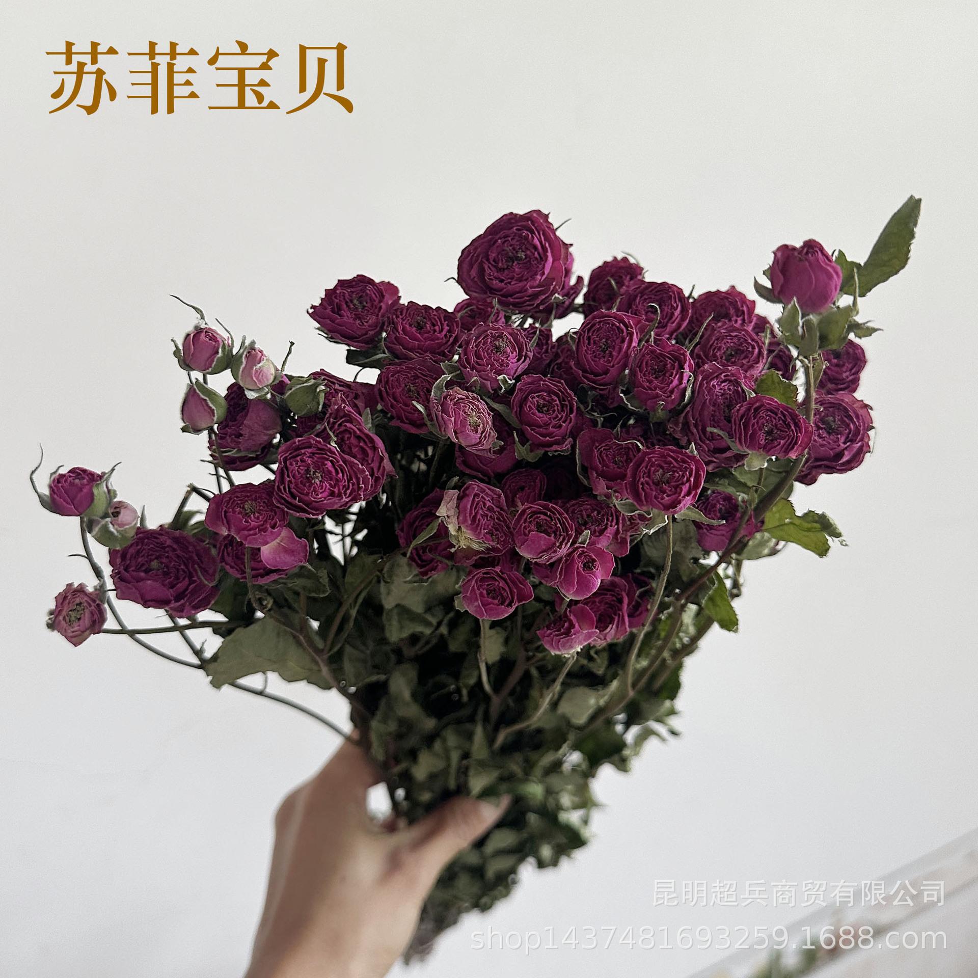 微信图片_20240906111258.jpg