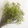 Ramo de flores eternas de hierba de cristal, arreglo floral, ramo de flores con material DIY, accesorios para fotos, flor para aromaterapia al por mayor