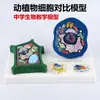 Modelo de Comparación de Células Animales y Vegetales Materiales Didácticos de Biología para Secundaria Instrumentos de Enseñanza Equipo Experimental