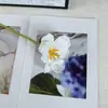 Flores Artificiales de Tulipán Realistas de Tallo Abierto de Alta Calidad, Accesorios para Sostener en la Mano, Flores Artificiales para Sala de Estar, Arreglos Florales de Seda, Decoraciones de Boda