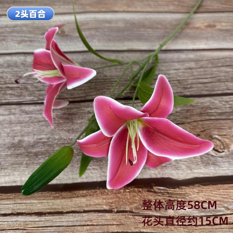 O1CN01435BG32Hq71FZq6FB_!!2213