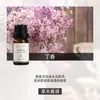 Fabricante de Fuente de Aromaterapia Aceite Esencial de Aromaterapia Soluble en Agua 10 ml Fragancia Vegetal L Difusor Ambientador Máquina de Aromaterapia Aceite Esencial