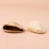Material de cascabel de cáscara de fruta natural para accesorios de cuentas de llavero DIY hechos a mano, accesorios de pulsera, material de colgante de carillón de viento creativo