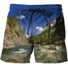 Pantalones cortos casuales de playa estampados de verano para hombre 2023 transfronterizos europeos y americanos AliExpress pueden ser una generación de cabello